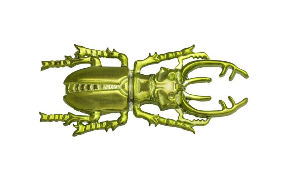 Maculi 001 Green
